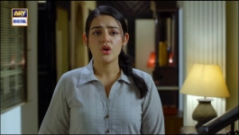 Mann Aangan - Episode 41 - 29th April 2023